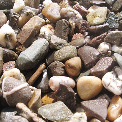 MGS SHOP Rheinkies bunt 25Kg für Beete, Wege & Gartenteiche in 3 Körnungen (8-16mm)