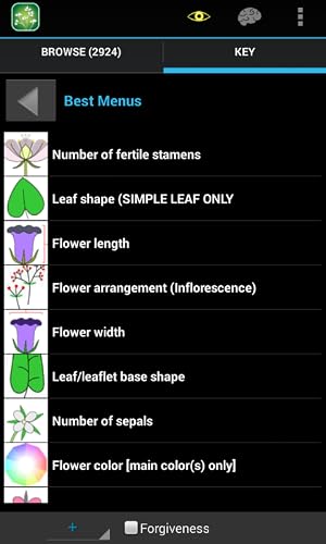 Colorado Plants - Thumbnail 4