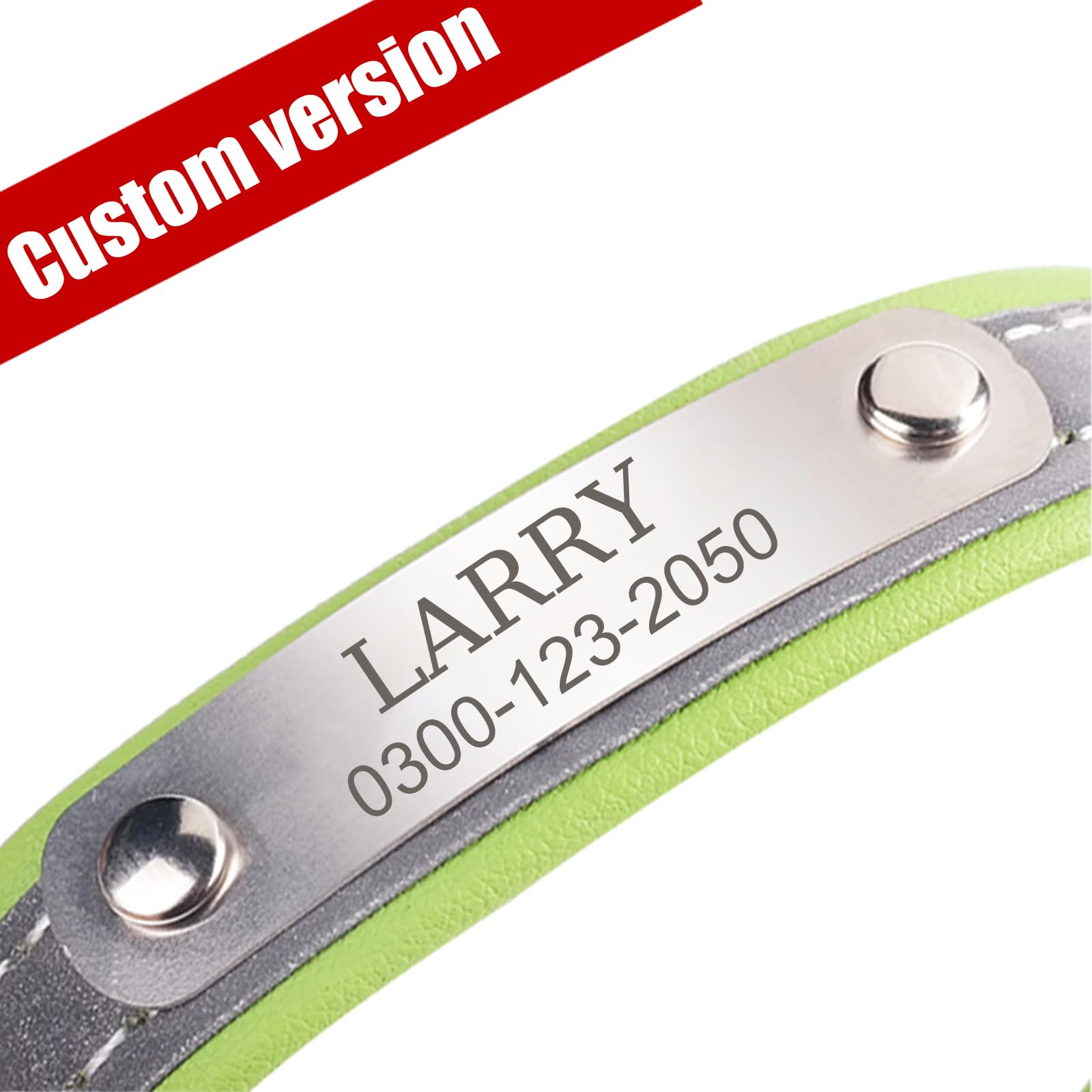 Yonsbox Custom Personalized Reflective Cat Dog Collar With Name