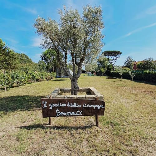 L'importanza dell'educazione in campagna. Con Riccardo di Giuseppe