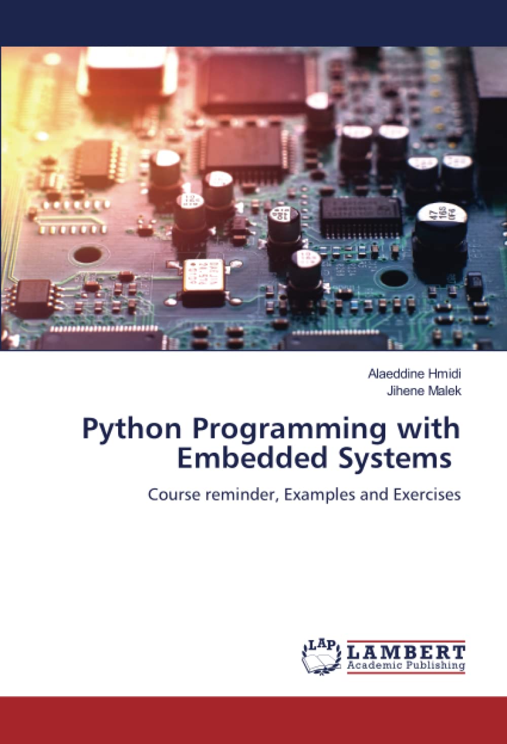 Buy Python Programming with Embedded Systems: Course reminder, Examples ...