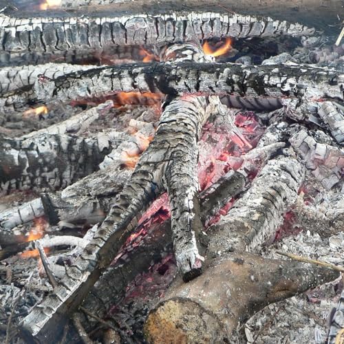 #74: Sizzlin' & Fizzlin' Flames