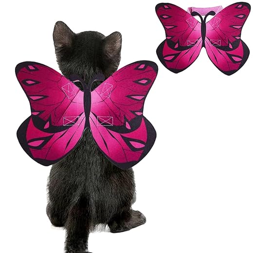 Pet Cat Bat Wings for Halloween Party Decoration, Puppy Collar Leads Cosplay Bat Costume,Cute Puppy Cat Dress Up Accessories