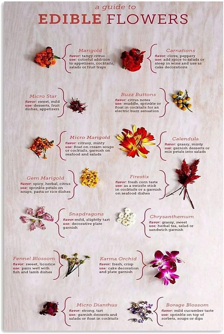 Yunking Style-1021 Flower Knowledge Metal Sign Vintage Garden Decor A Guide To Edible Flower Tin Poster Home Kitchen Club Wall Decoration Plaque 8X12 Inch