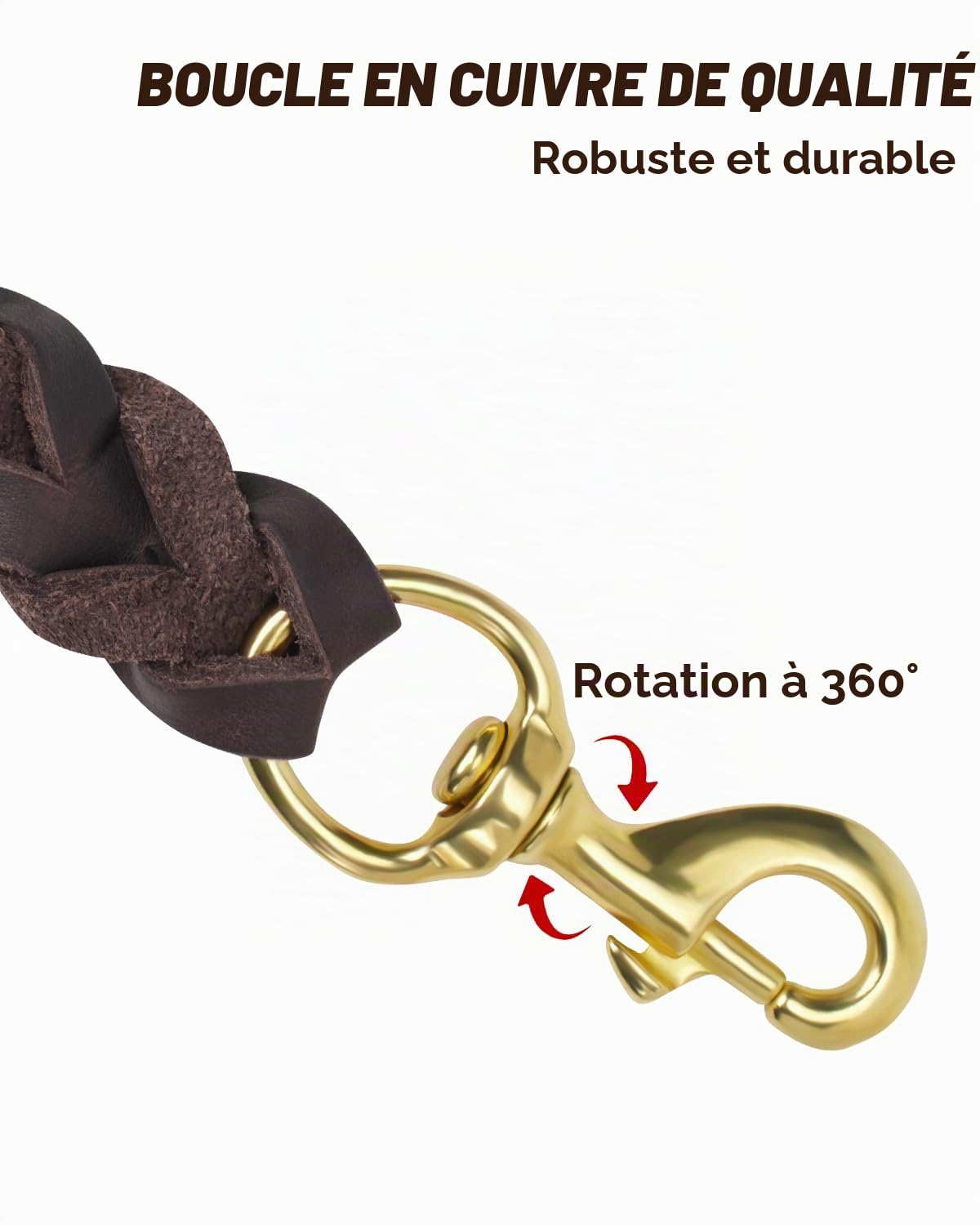 Joytale Laisse Chien Cuir, Laisse en Cuir Robuste pour Chien avec Crochet en Laiton, Douce Et Durable, Adaptée Aux Petits, Moyens Et Grands Chiens（Marron, 150cm×2cm）