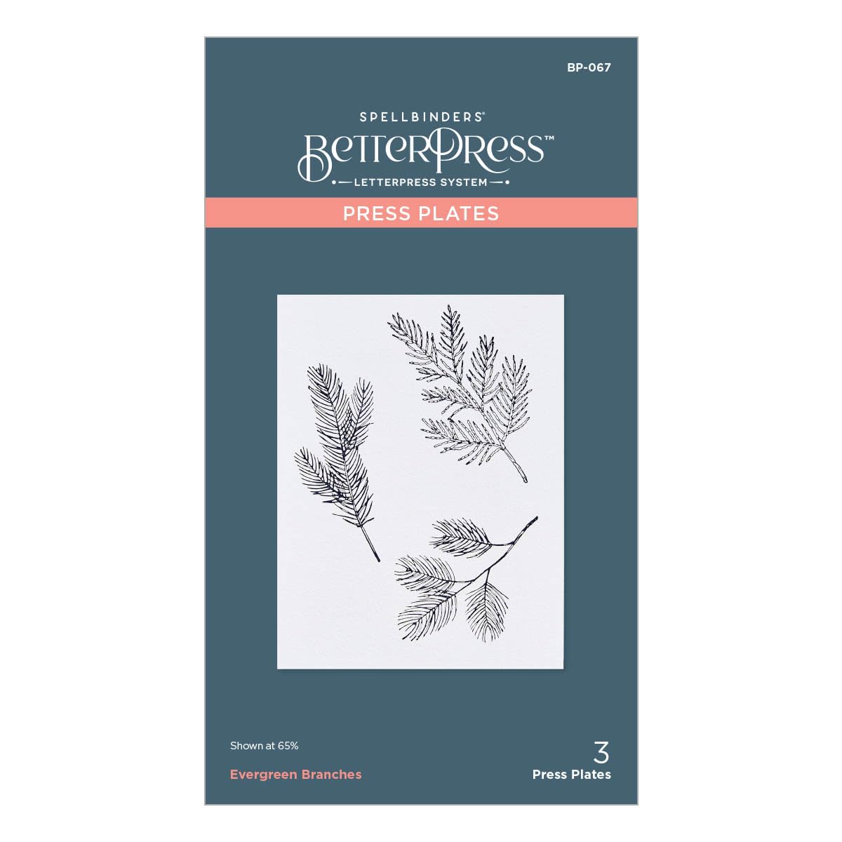 Spellbinders Metal Evergreen Branches Press Plate From The Betterpress Christmas Collection