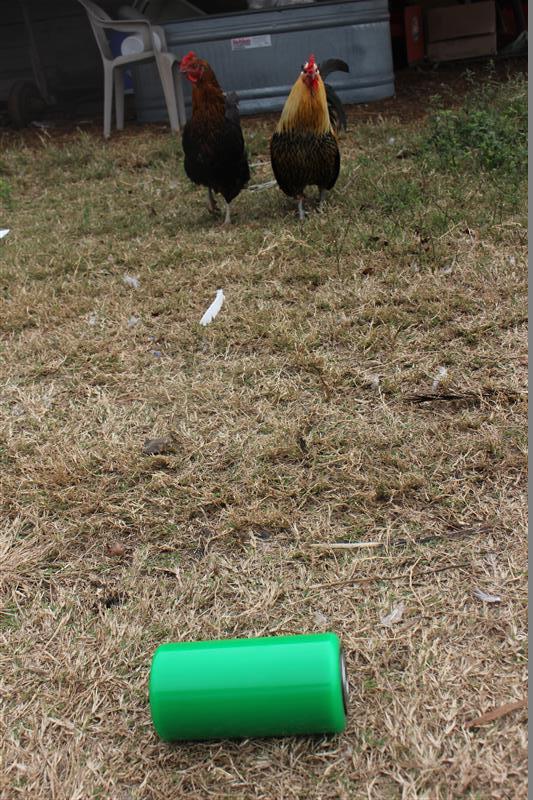 As a chicken book, this is kinda poop.