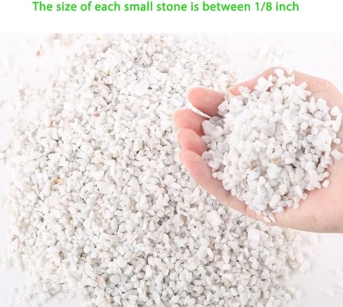 Miniatura 2 de Avalution Suculentas de grava blanca de 0.236 a 0.315 pulgadas y cactus bonsái, proyectos de bricolaje, rocas, plantas de ónix blanco, rocas para