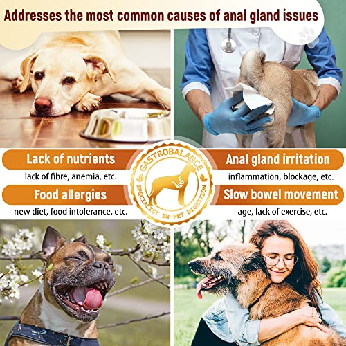 GastroBalance Entlastung der perianalen Drüsen für Hunde – 60 Kauknospen für Hunde – Speck Geschmack (Englisch)