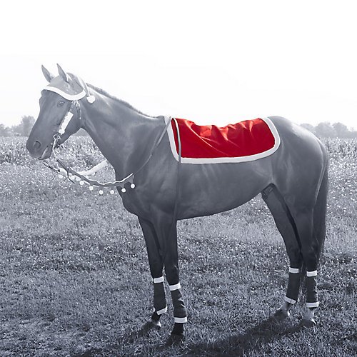 JT International Holiday Santa Western Pad Cover