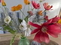 Review Image by Tuzi