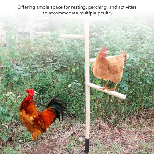 Image of Diydeg Extra Large Chicken Perch Toys, Wooden Chick Perch Stand with Metal Ground Plug, Outdoor Birds Training, Chicken Coop Accessoriess for Large Bird Parrot Poultry Rooster
