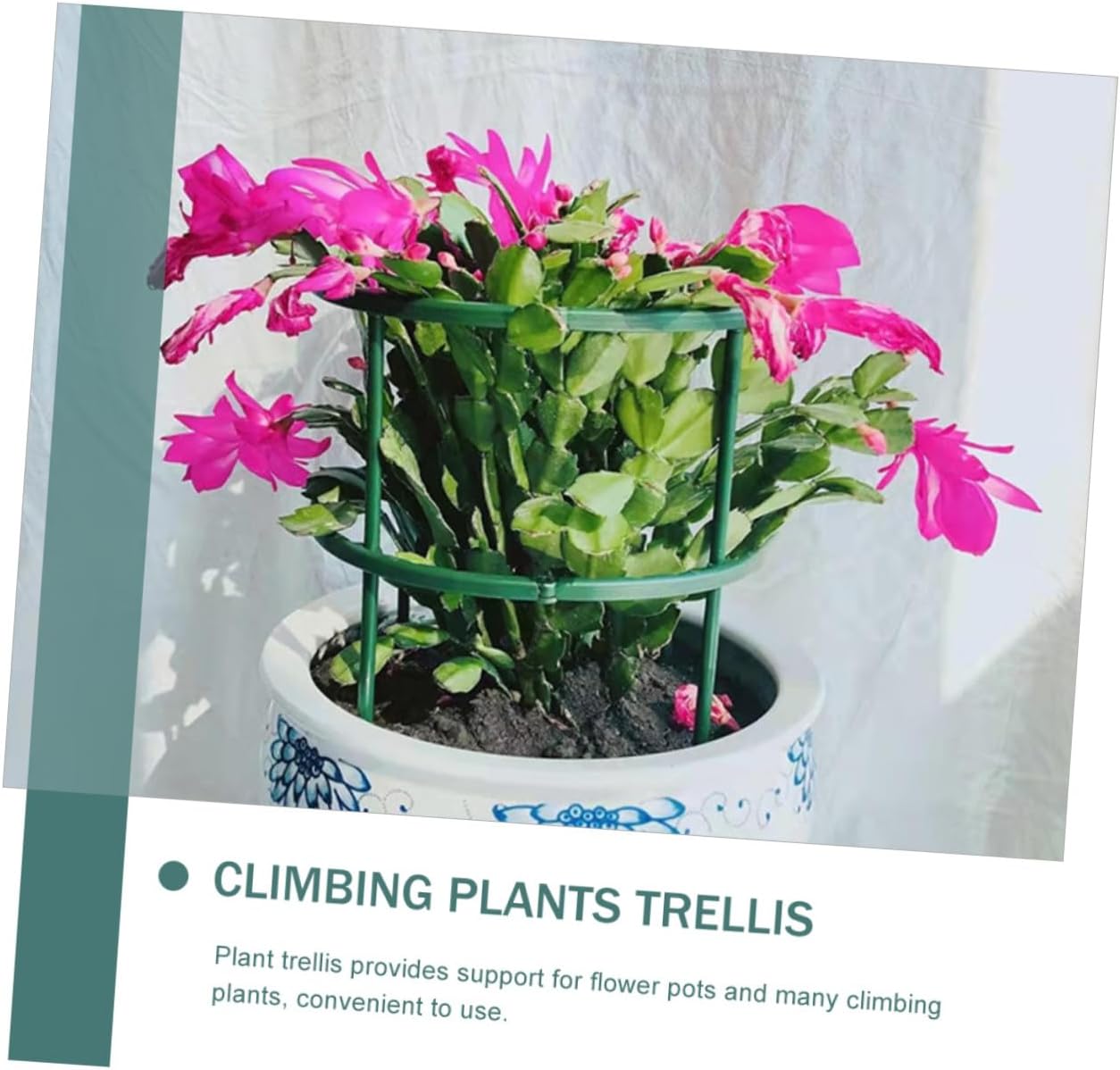 Sosoport 30pcs Climbing Plant Support Sticks Flower Trellis Garden Trellis Holder for Outdoor Plant Life