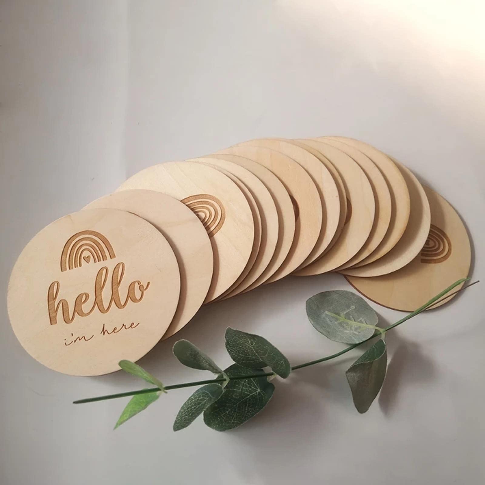 5 Set 14 Stück Meilensteinkarten rund Holz für monatliche Aufnahme Disc Türhänger