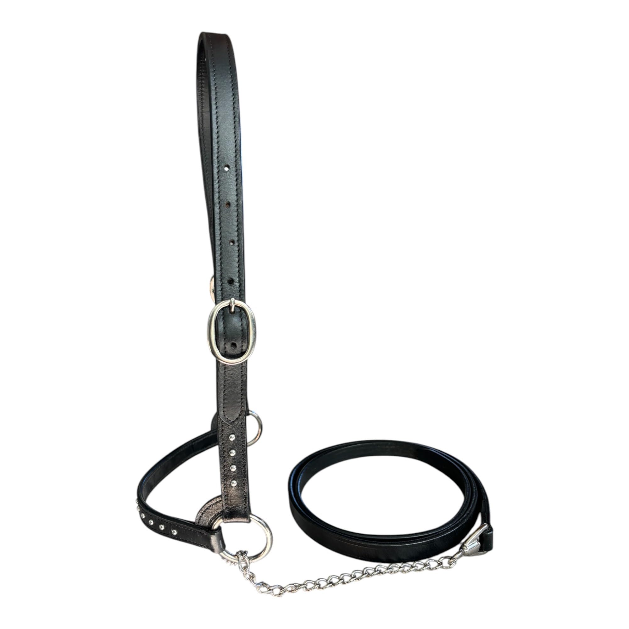 Nylon Rope Shipping Halter w/Lead (Blue)