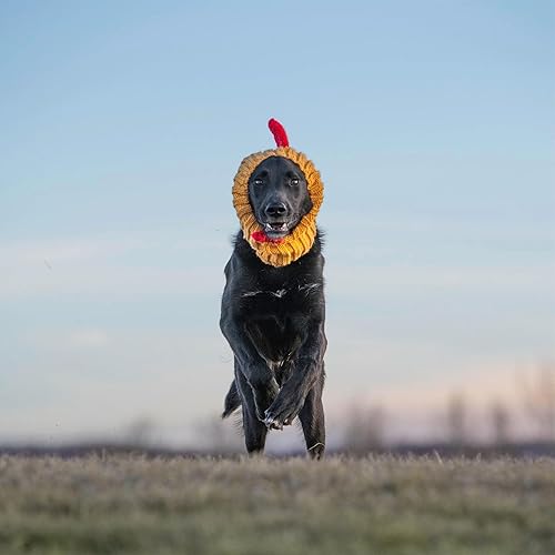 Miniatura 10 de Zoo Snoods Disfraz de gallo  Redecilla tejida de pollo para mascotas, cubierta cálida para el cuello para Halloween e invierno (talla M)