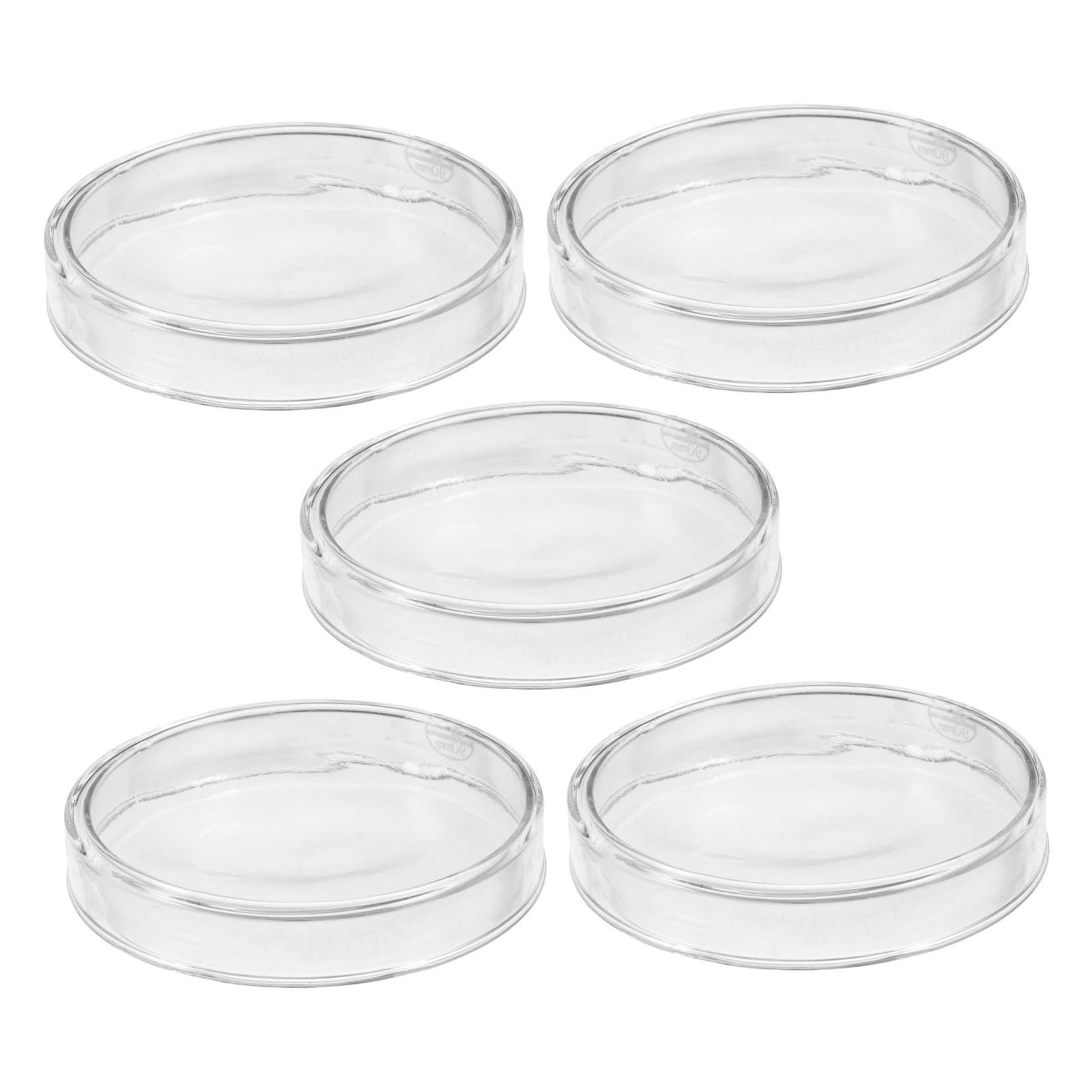 Holibanna 5 Pezzi Piatti Petri in Vetro Borosilicato Resistenti e Trasparenti per Crescita Cellulare Microbiologia e Crescita Tessuti Vegetali in Laboratorio