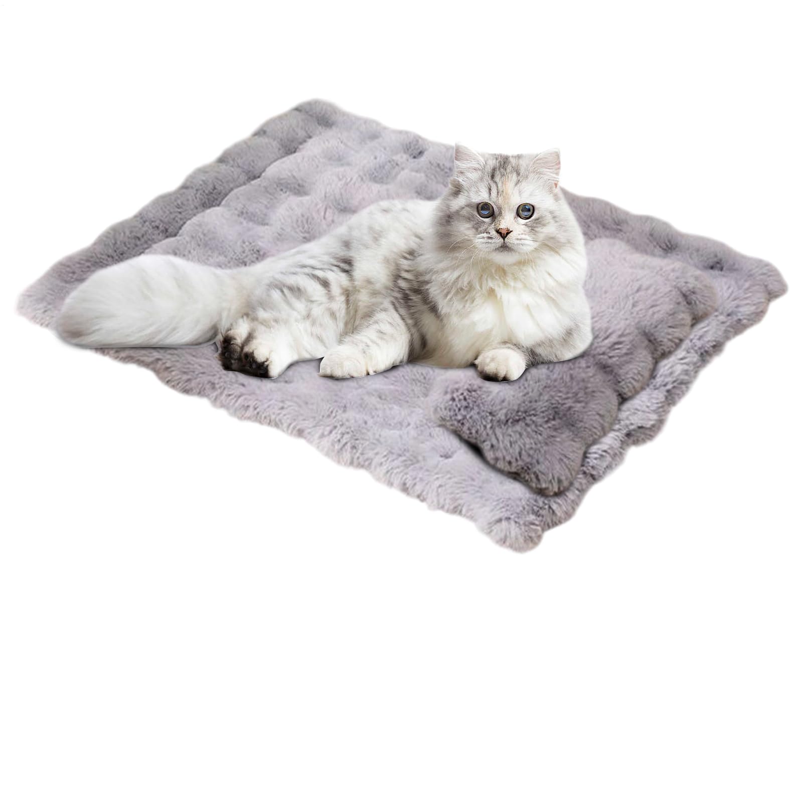Cama plana para gatos antideslizante suave alfombra de dormir cachorros