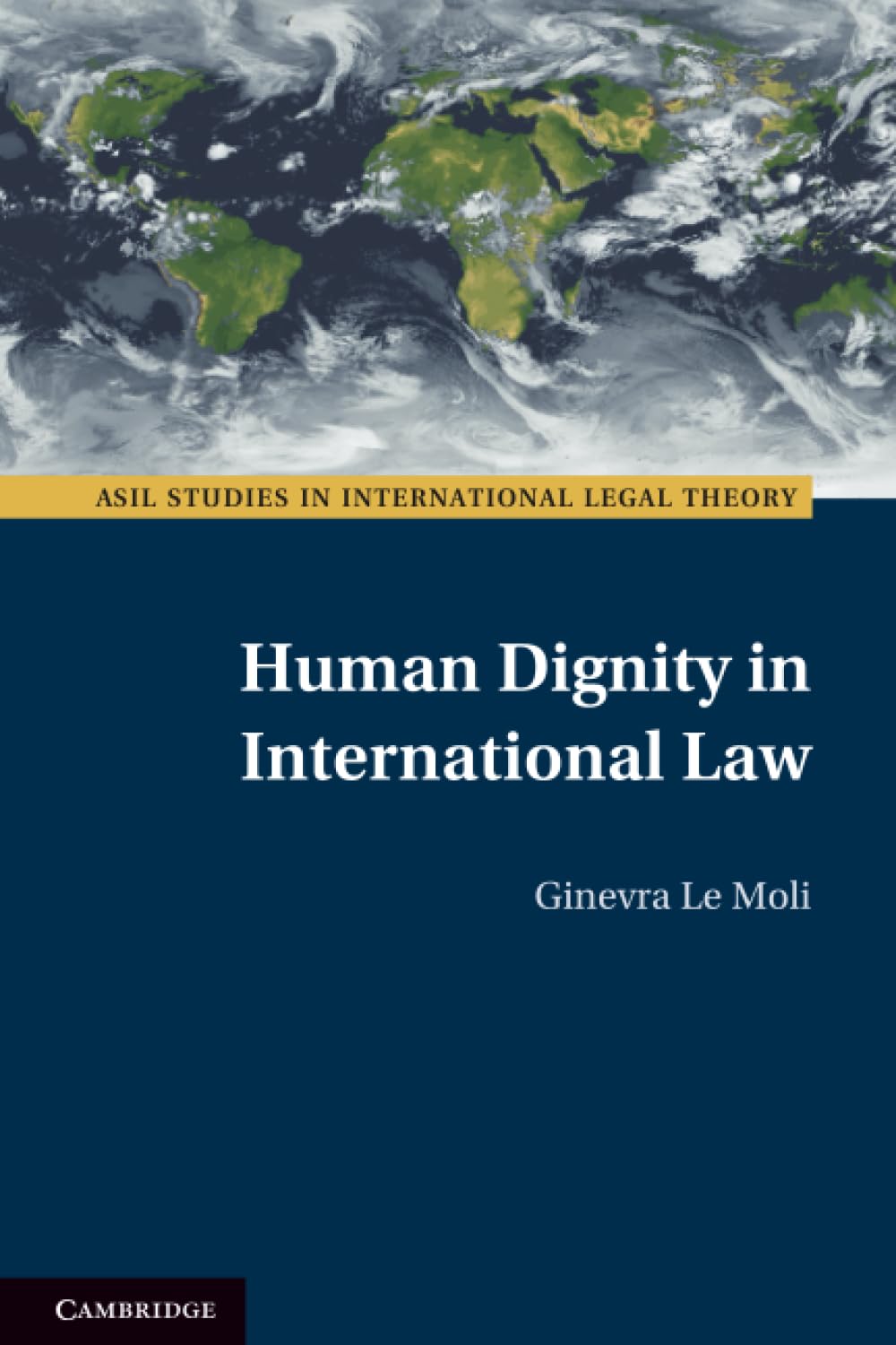 Human Dignity in International Law (ASIL Studies in International Legal Theory)
