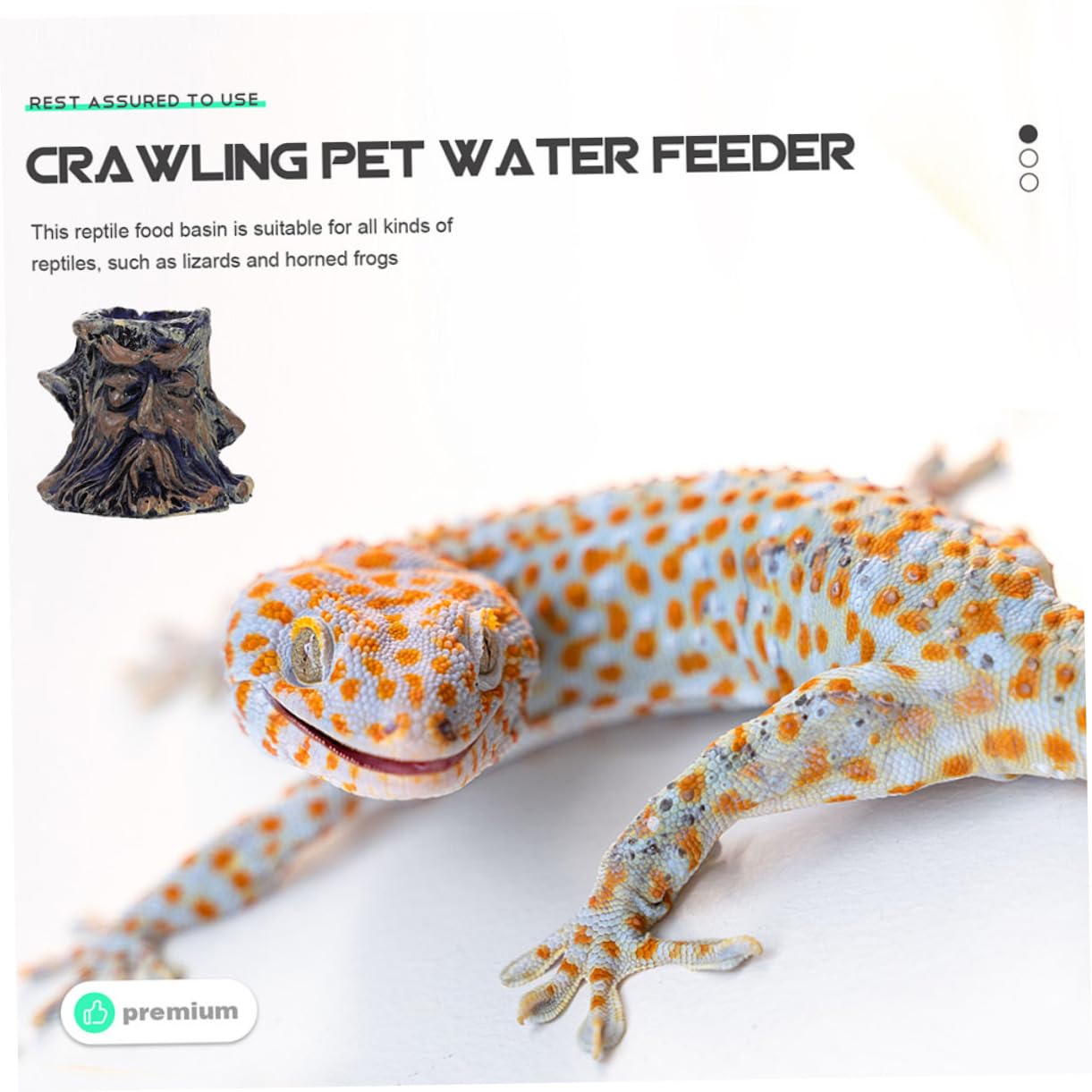 minkissy 12 piezas de baño de pájaros para mascotas, plato de gusano de reptiles, comederos de agua de tortuga, recipiente de alimentos para alimentos, cuenco de agua de serpiente, alimentador de