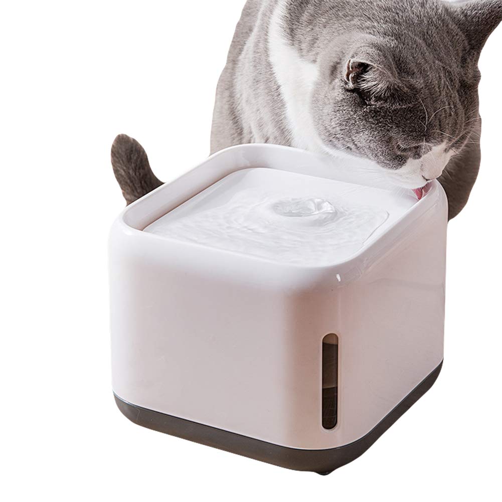 Fontaine pour chat silencieuse avec flux circulaire et filtre purificateur