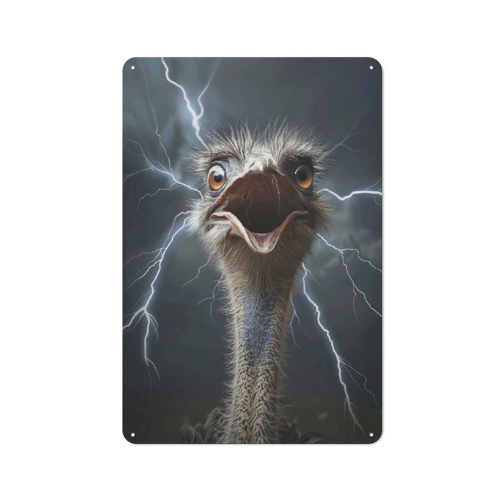 Ostrich Lightning Metal Wall Plaque, Easy to Hang Plaque for Living Room, Hallway, Kitchen Or Pet Corner, 30x20cm