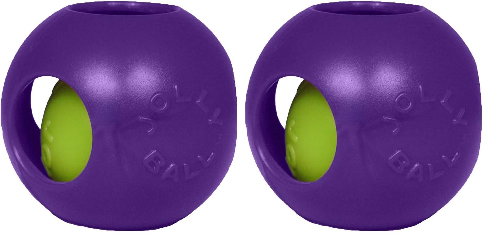 Jolly Pets Teaser Ball 20 cm, Mor (2 paketi)
