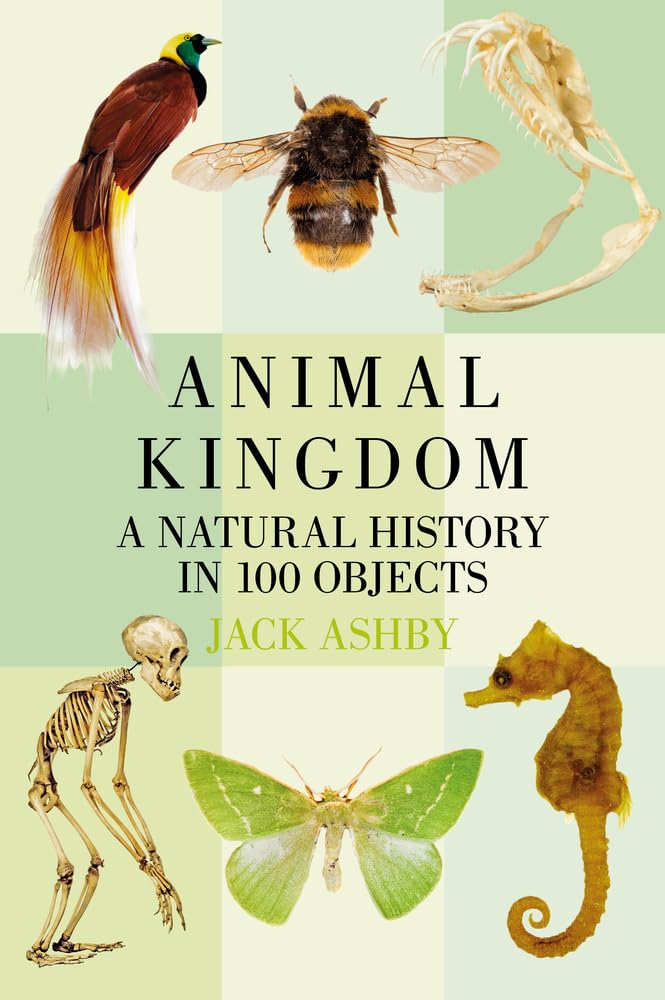 Animal Kingdom A Natural History in 100 Objects by Jack Ashby (Paperback Book)