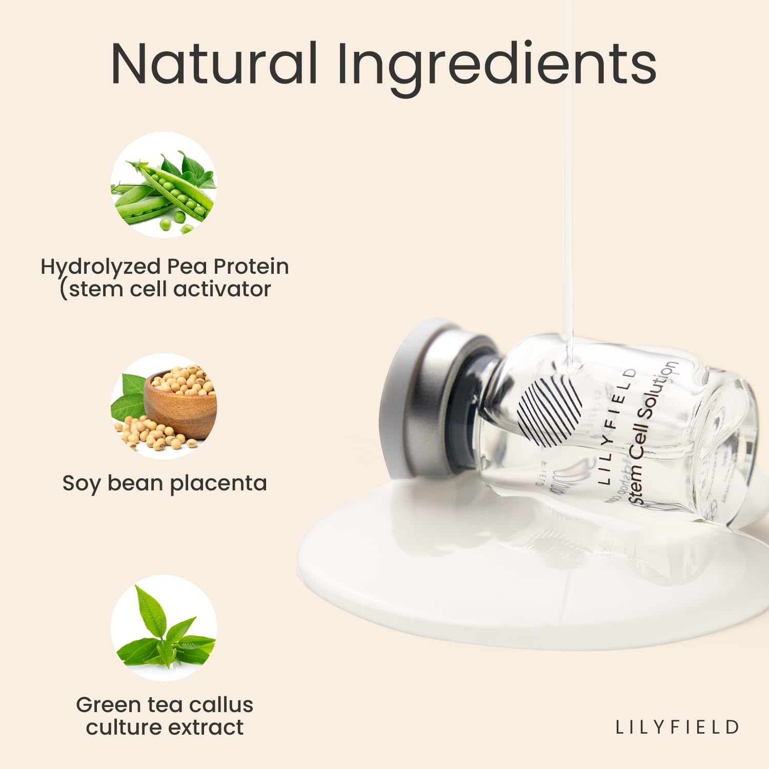 LILYFIELD Solución de células madre, ampollas de suero de ácido hialurónico antienvejecimiento avanzadas, hidratando la piel, suaviza las líneas finas, reduce las arrugas y los signos de