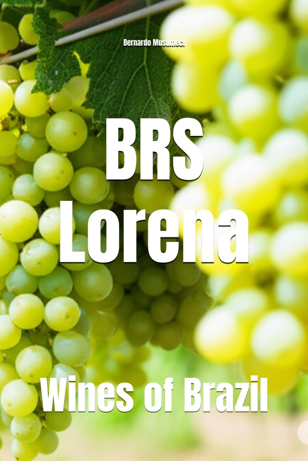 BRS Lorena: Wines of Brazil (Wines of the World: Brazil)