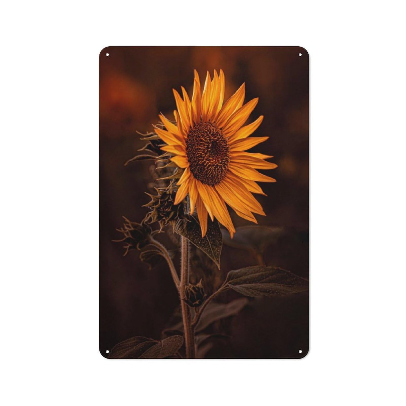 Junmoney Portrait Of A Sunflower Tin Sign 30X20cm With For Pub Or Café, Retro-Style Decor, Suited To Café Interior Fans