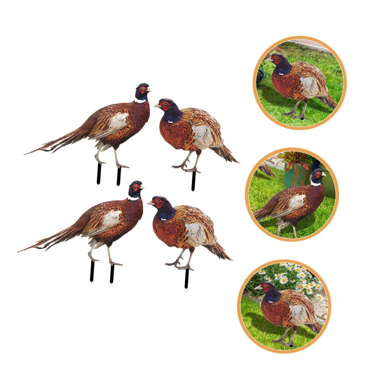 TEHAUX Acryl Gartenschild 2 Satz Doppelseitiger Fasanen Gartenstecker