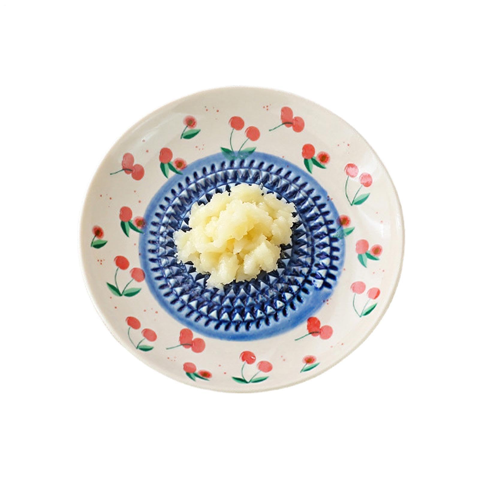 Plato rallador de ajo de cerámica, cuenco rallador manual de verduras para tomate, chocolate, jengibre, queso y más, perfecto para cocinar en la cocina y preparar alimentos