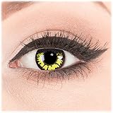 Farbige gelbe Funnylens Kontaktlinsen Color Fun Contact Lenses Yellow Wolf zu Fasching, Karneval und Halloween. Topqualität inkl. Behälter und 60ml Pflegemittel
