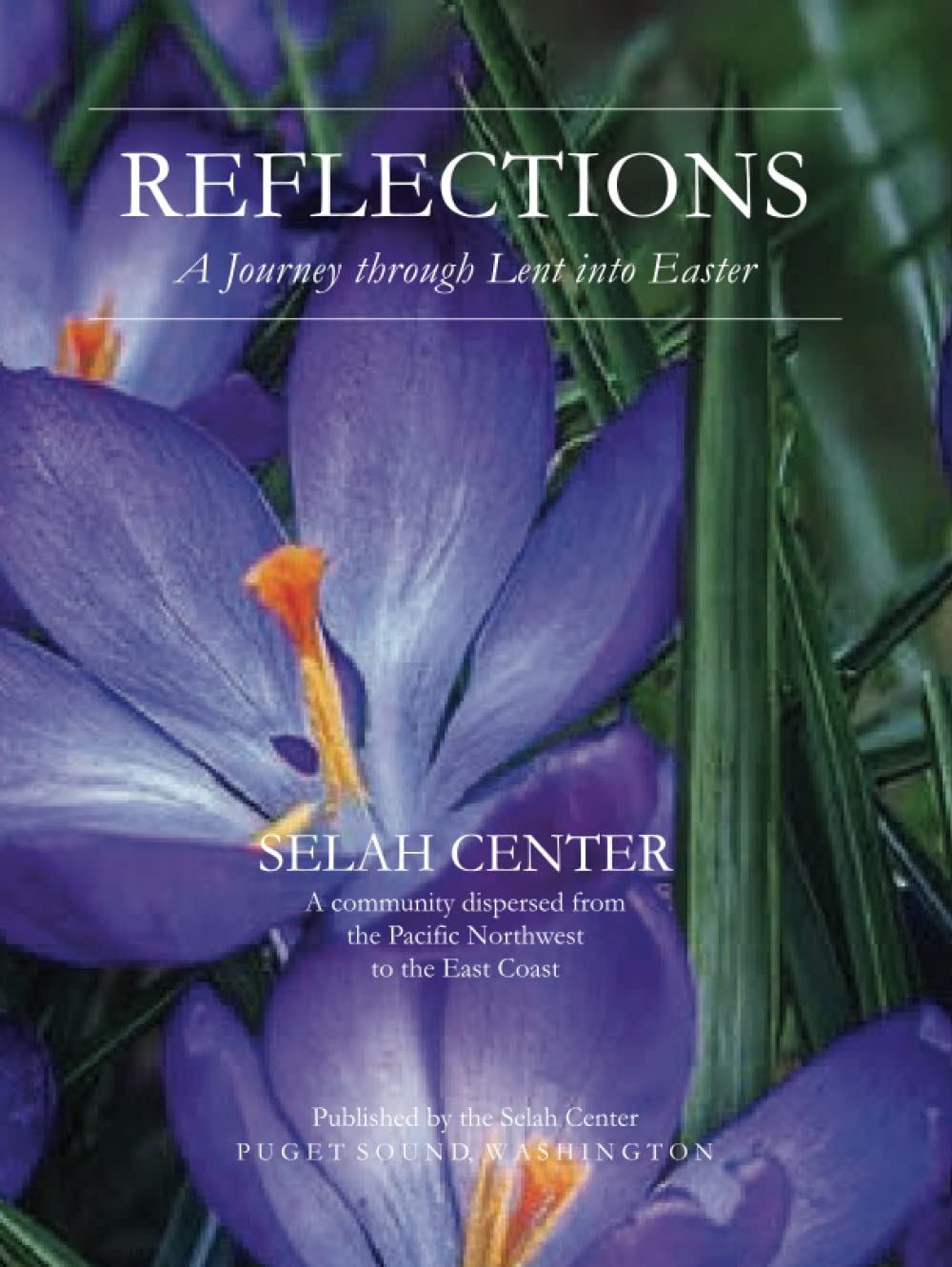 Reflections: A Journey through Lent and Easter