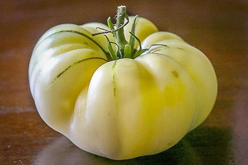 Miniatura 2 de Tomate Vegetal Great White - 25 Semillas