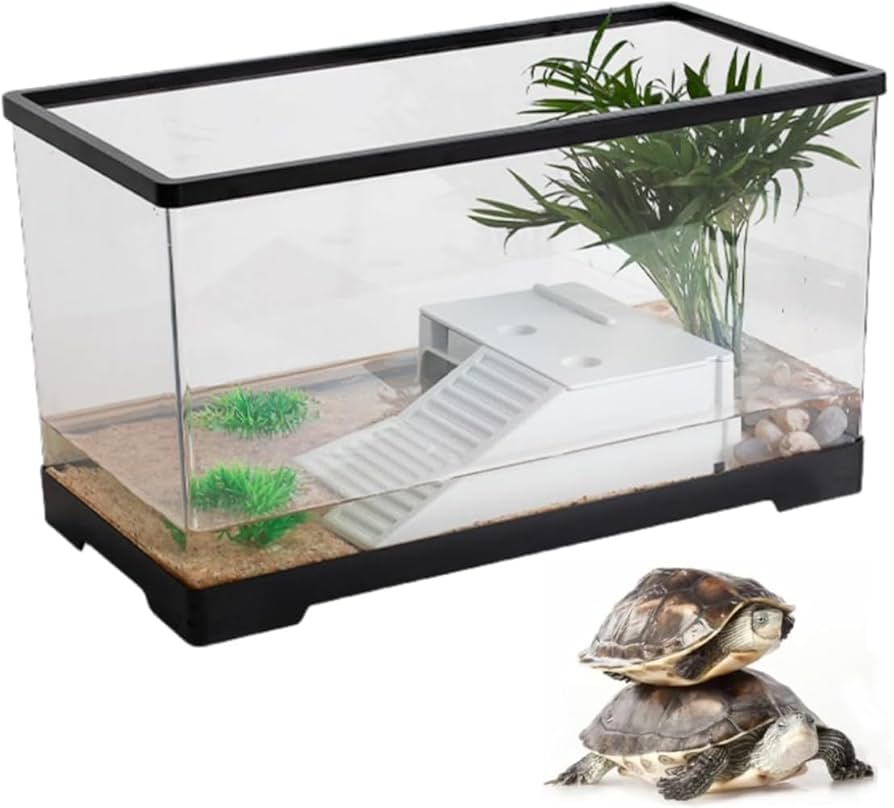 リクガメ用水槽 亀 水槽 大きい 透明 リクガメ ケージ カメの生息地 株式会社