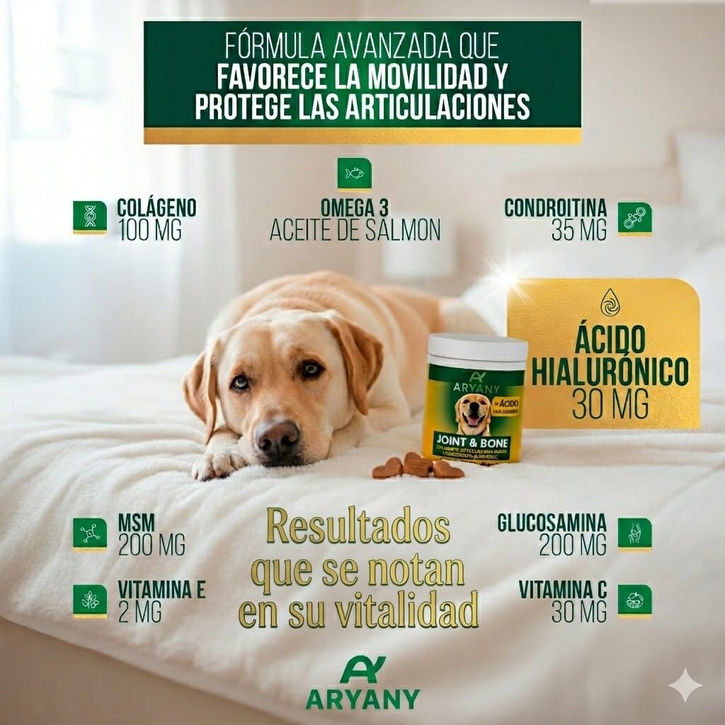 ARYANY Condroprotector Perros Snack Masticable (60 Uds) - Fórmula Premium de Alta Concentración: Glucosamina 200mg, Condroitina, MSM 200mg, Ácido Hialurónico, Colágeno - Antiartrosis