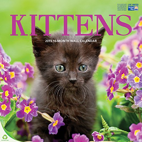 Avalon 12 x 12 Inches Kittens 2015 16-Month Wall Calendar (84435)