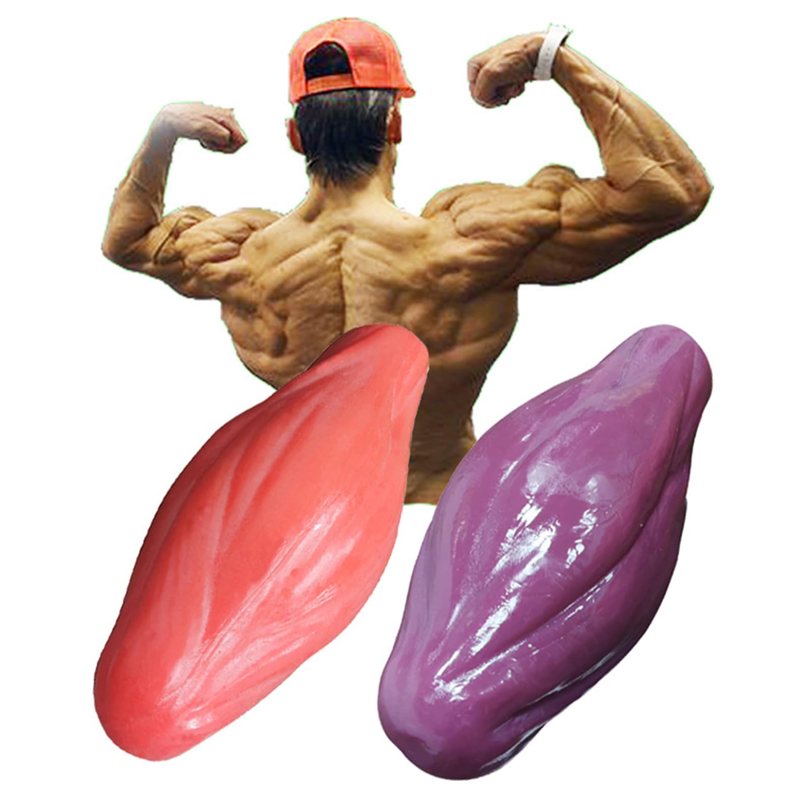 Modello di Replica dei Muscoli del Corpo Umano, Modello Anatomico dei Muscoli Umani da 2 libbre per Appassionati di Fitness, Nutrizionisti, Atleti,Rosa,22cm