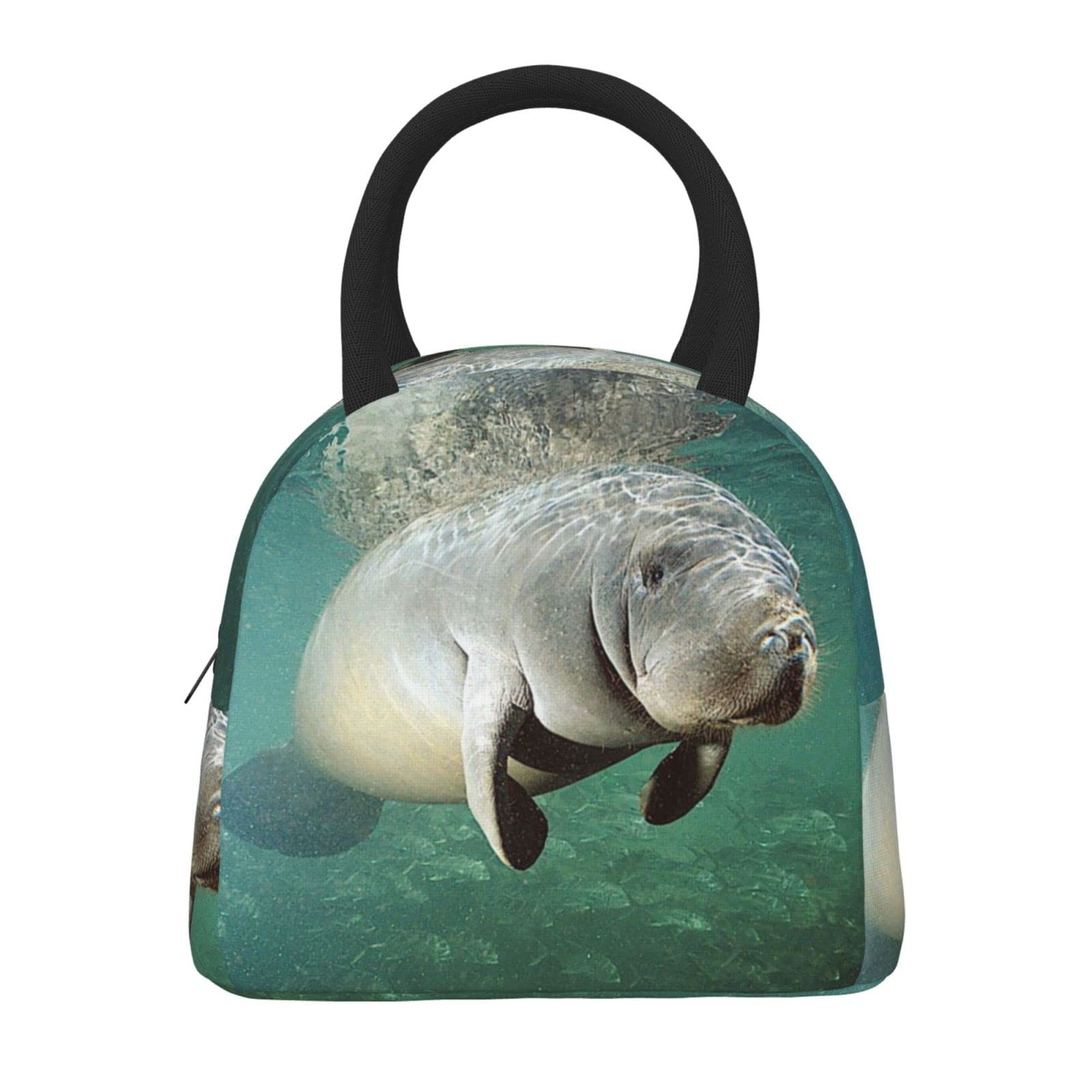 Sporttasche Mit Seekuh Motiv - Faltbare Reisetasche 50x33x26cm