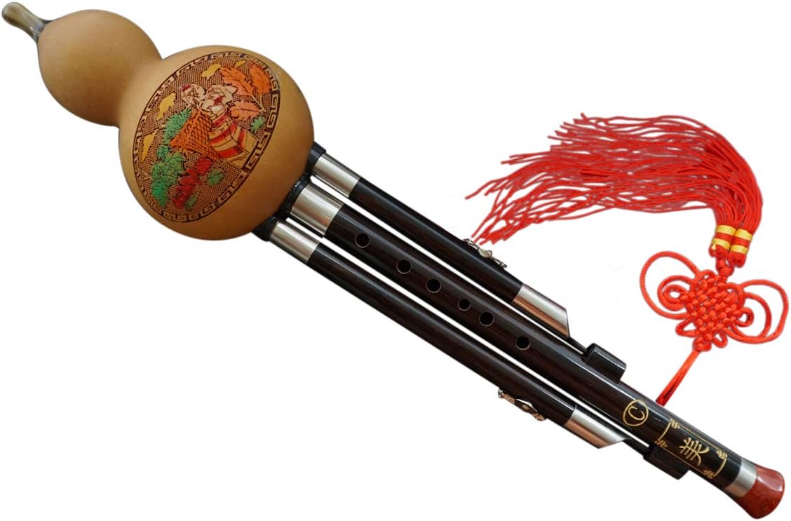 Ebony 3 Octaves Chinese Hulusi Flute Woodwind 107 + Case