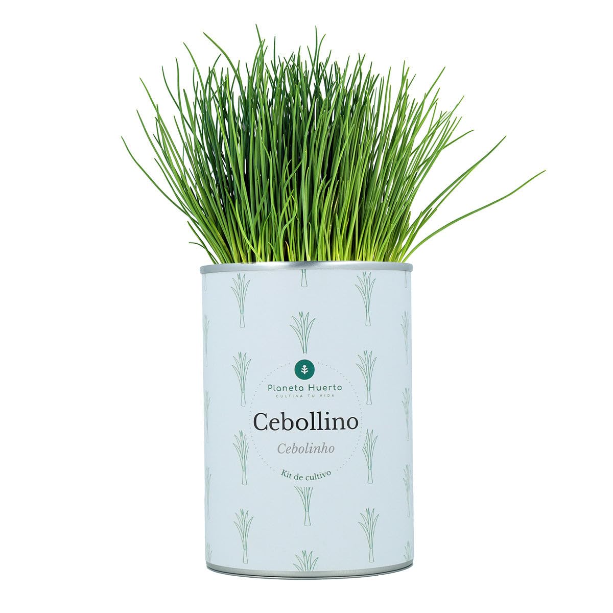 PLANETA HUERTO | Pack Cofre Kits de Cultivo Aromáticas Planeta Huerto – Set Completo para Cultivar Hierbas Frescas en Casa
