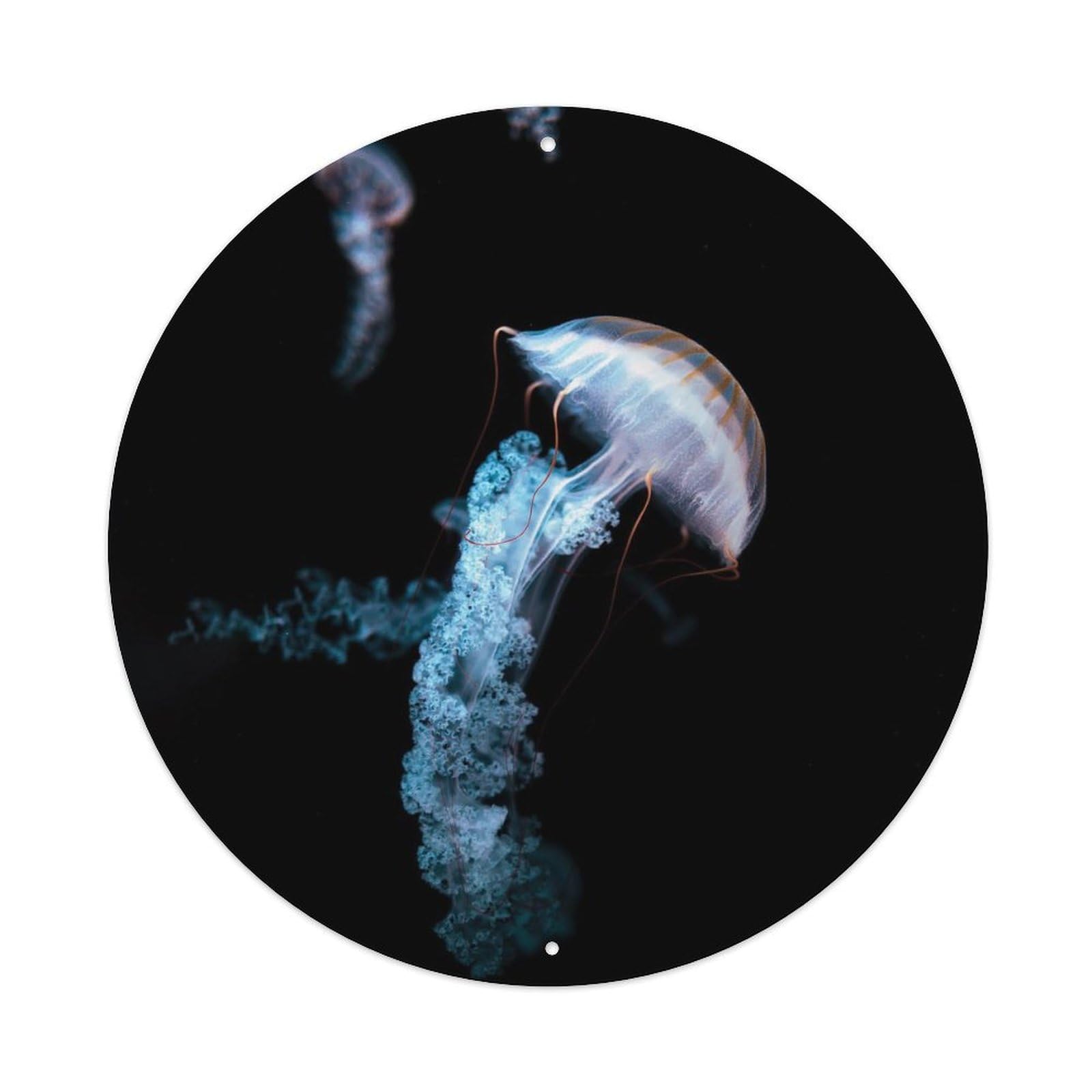 Jellyfish Ocean Marine Life Underwater Aesthetic Metal Tin Sign