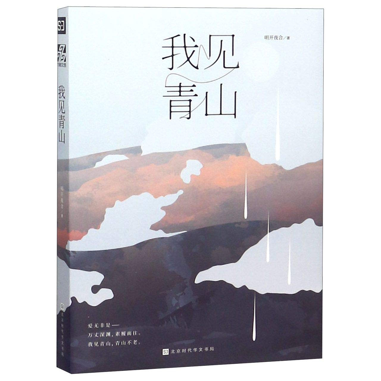 When I Meet You Again (Chinese Edition)
