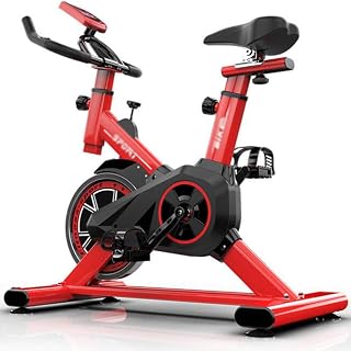 GaRcan Indoor Cycling Bike Spinning Bicycle, Ultra-Quiet Fitness Bike And Ab Trainer, Speedbike with Low-noise Belt Drive System, Home Gym Bicycle Sports Fitness Equipment Cardio Trainer (Red) (Red)