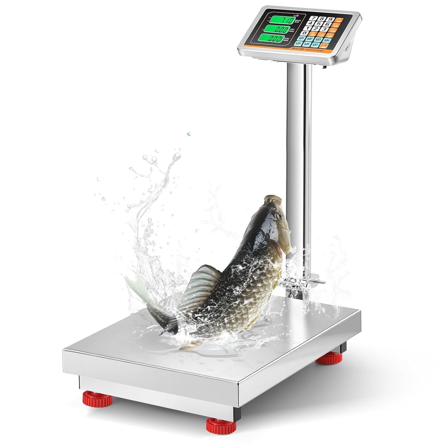 Bonvoisin Bilancia Piattaforma Industriale 300kg/0,1kg, Piatto Inox 52x42cm | Bilancia per Colli e Pavimento con Alimentazione Rete/Batteria, Bilancia da Banco Impermeabile per Pacchi, Bagagli e Cartoni