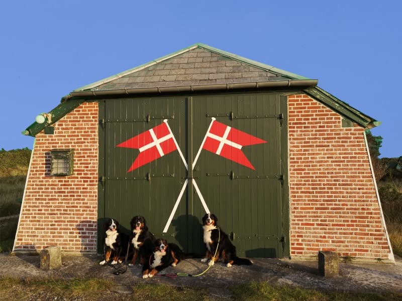 Kronch Pocket Lakse | Doppelpack | 2 x 600g | Getreidefreier Hundesnack mit frischem Lachs und Kartoffelmehl | Kann dabei helfen als Hundesnack für Zwischendurch zu dienen