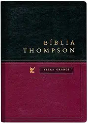 Bíblia Thompson - AEC - Letra Grande - Verde e Vinho