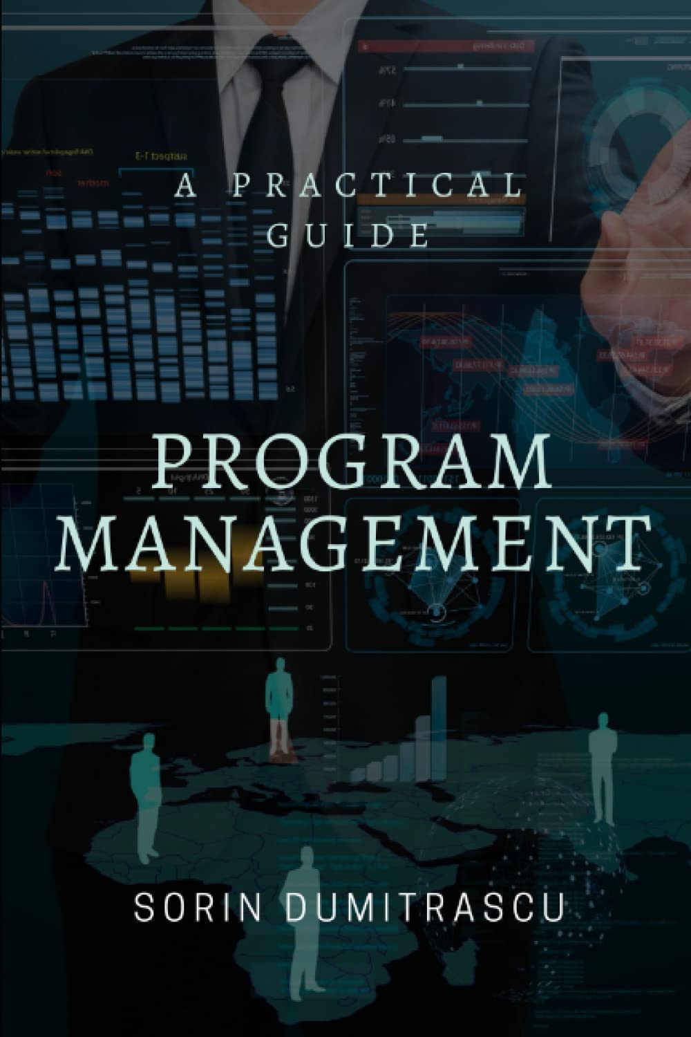 Program Management: A Practical Guide: 10 (Essential)